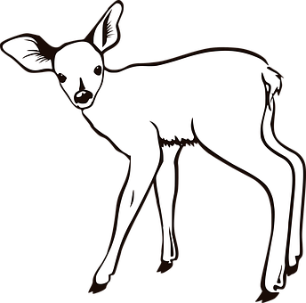 Fawn Silhouette Art PNG image