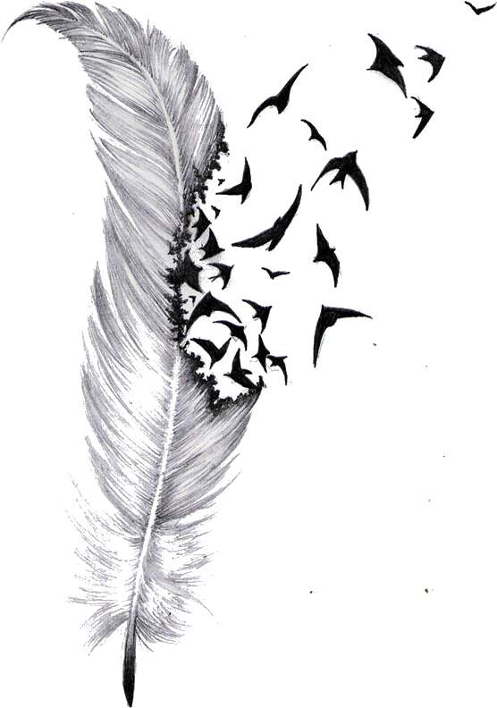 Feather Transforming Into Birds Artwork PNG image