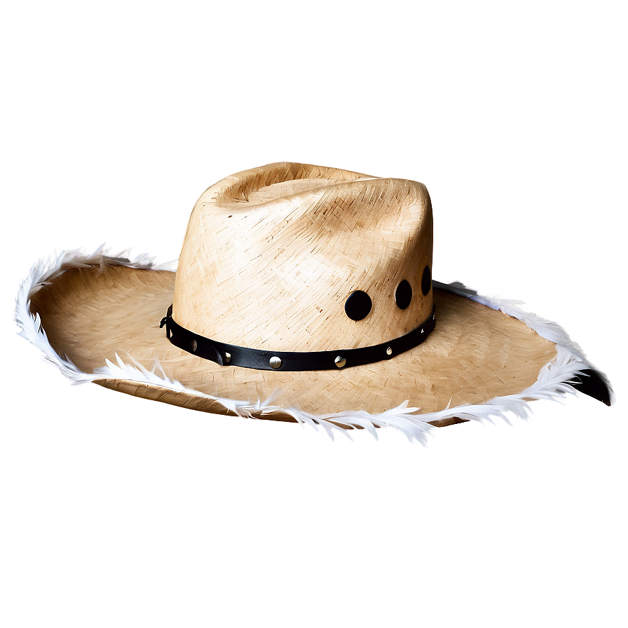 Feathered Cowgirl Hat Png 1 PNG image