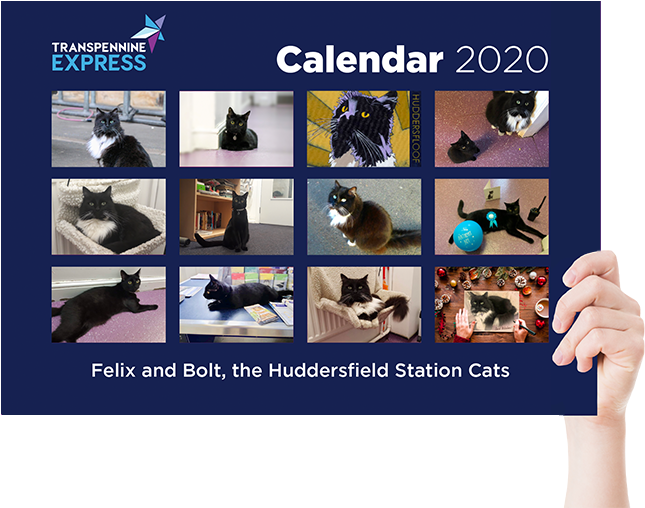 Felixand Bolt2020 Calendar PNG image