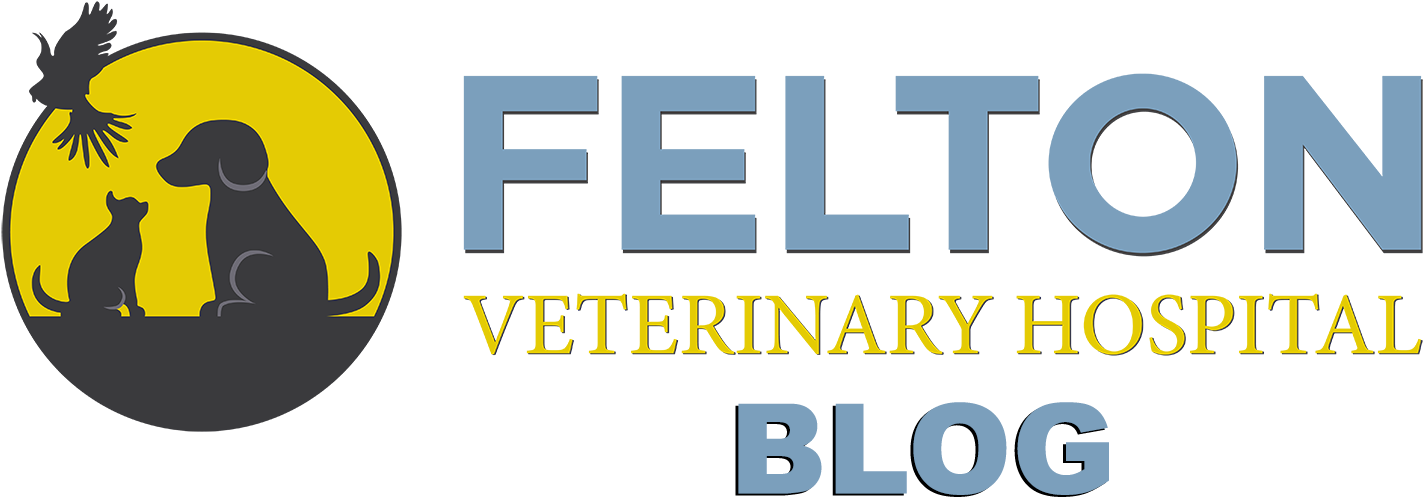 Felton Veterinary Hospital Blog Logo PNG image