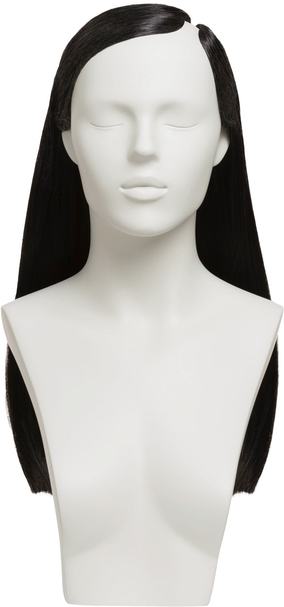 Female Mannequin Headwith Hair PNG image