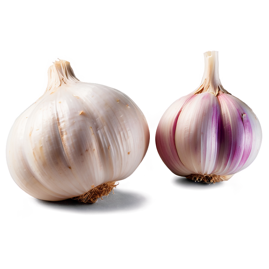 Fermented Garlic Png Jak PNG image