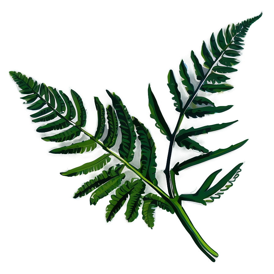 Fern Leaf Botanical Print Png 06282024 PNG image