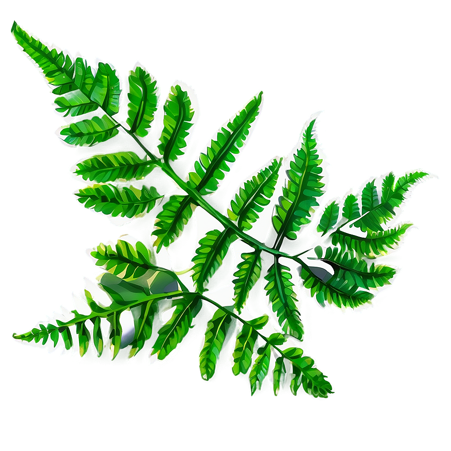 Fern Leaf Botanical Print Png Ihm9 PNG image