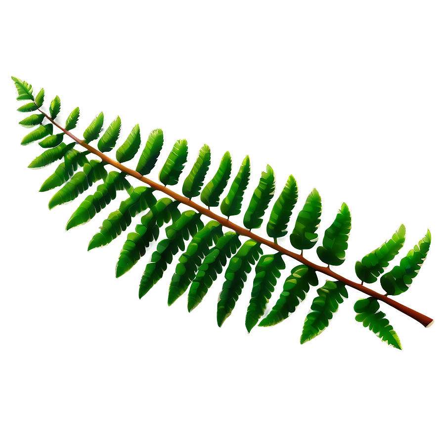 Fern Leaf C PNG image