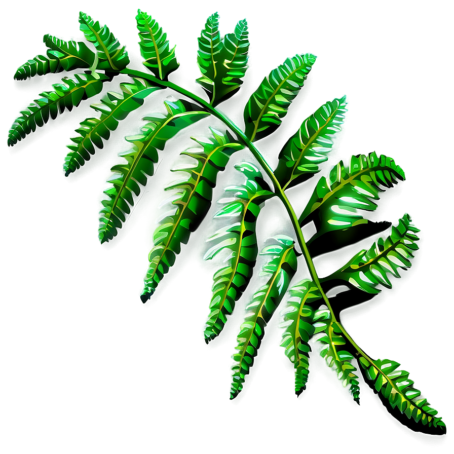 Fern Leaf Outline Png 06282024 PNG image