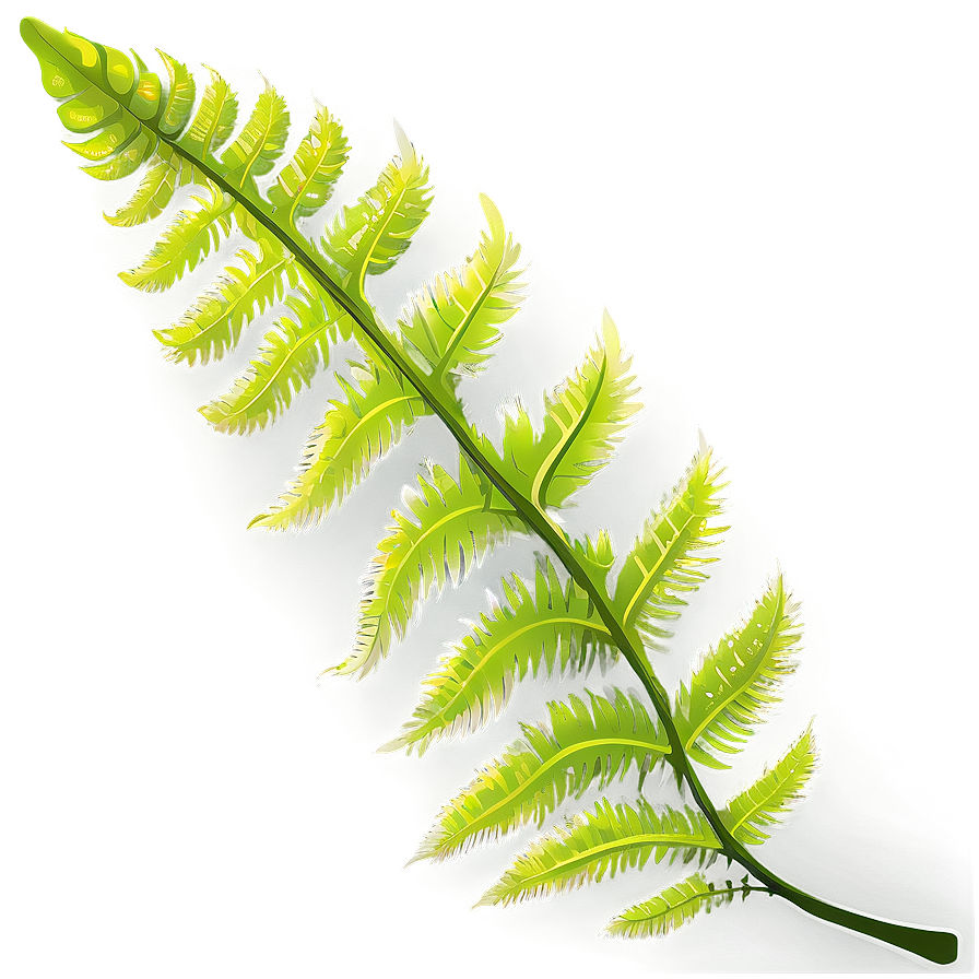 Fern Leaf Vector Artwork Png 21 PNG image