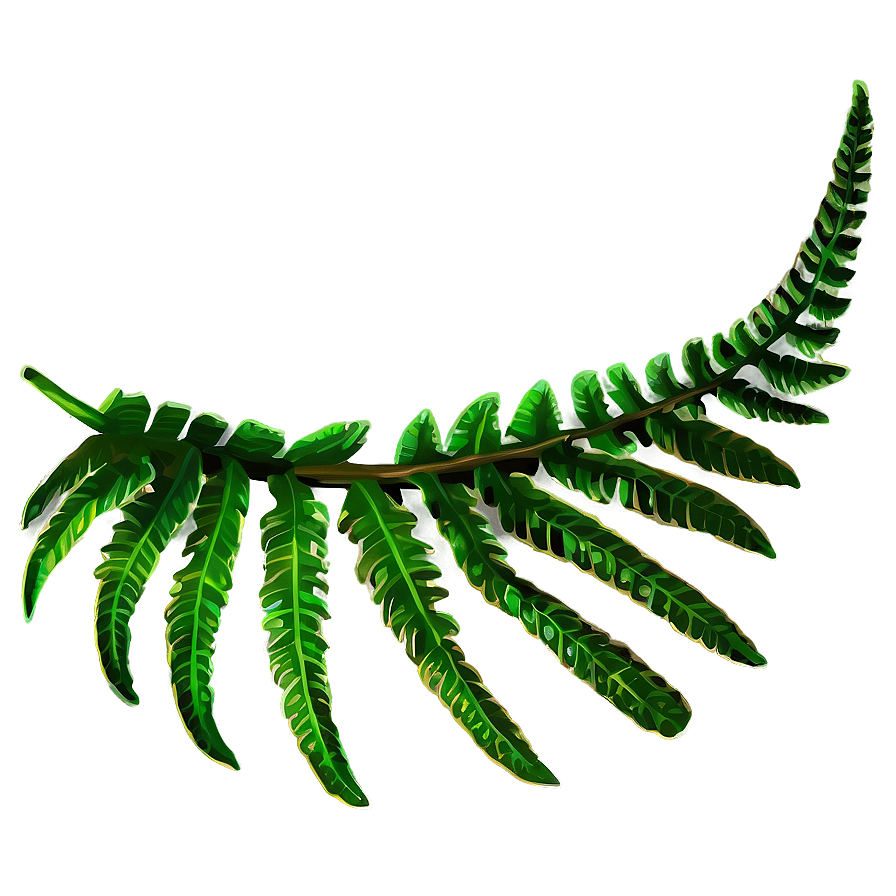 Fern Tropical Leaf Png Umq74 PNG image