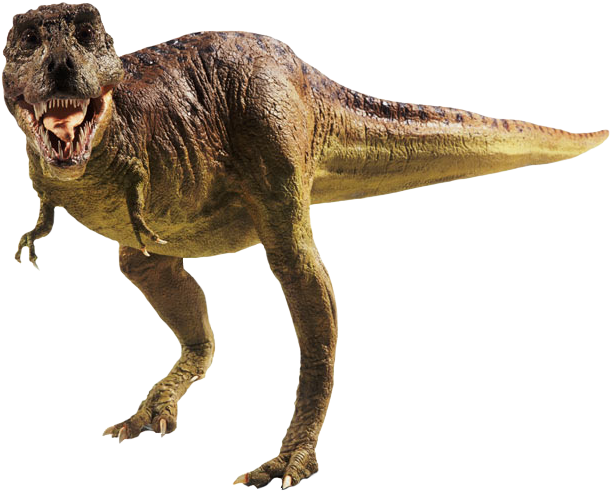 Ferocious_ Tyrannosaurus_ Rex_ P N G PNG image