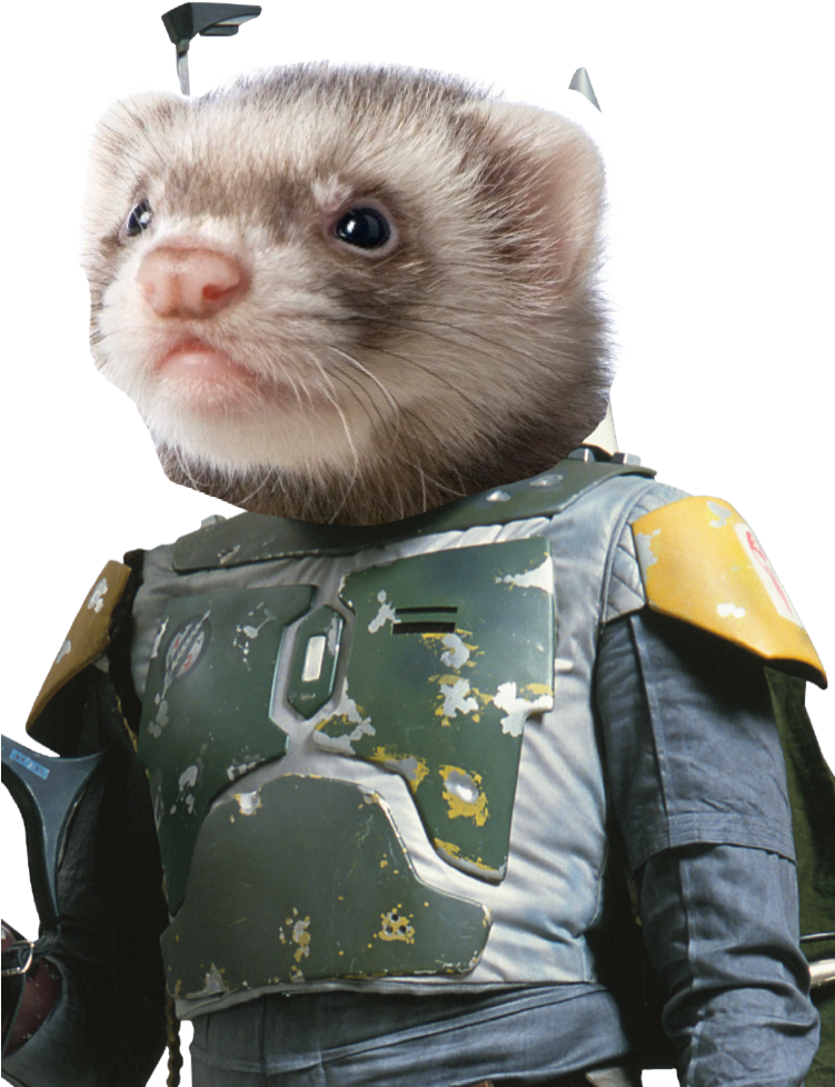 Ferret Bounty Hunter Cosplay PNG image