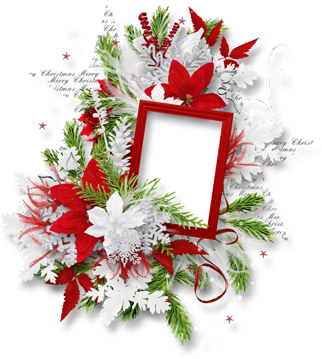 Festive Christmas Floral Frame PNG image