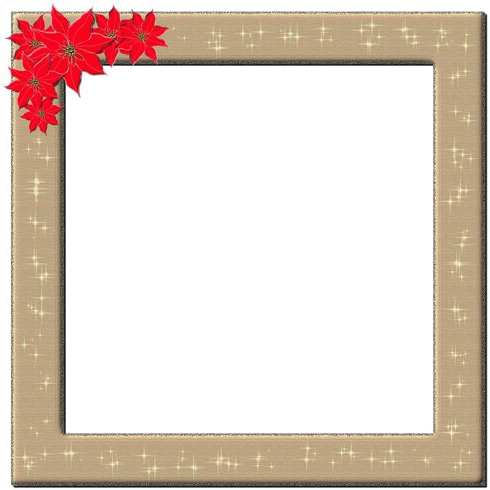 Festive Christmas Framewith Poinsettias PNG image