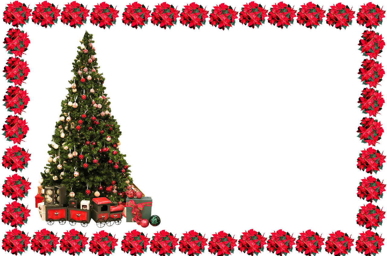 Festive Christmas Tree Frame PNG image