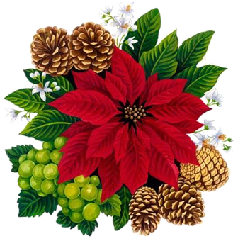 Festive Floral Arrangement PNG image