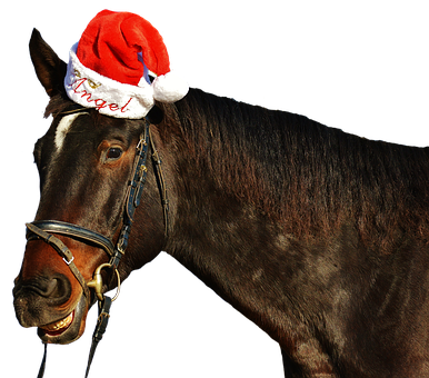 Festive Horse Wearing Santa Hat PNG image