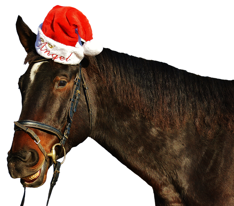 Festive Horsewith Santa Hat PNG image