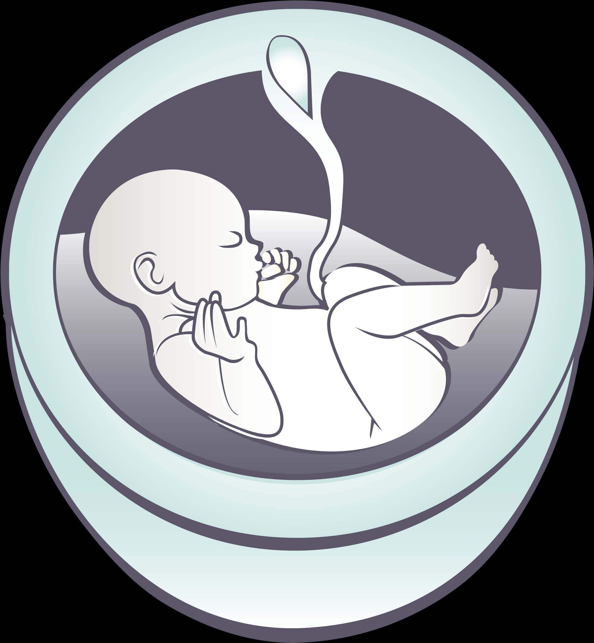 Fetal Development Illustration PNG image