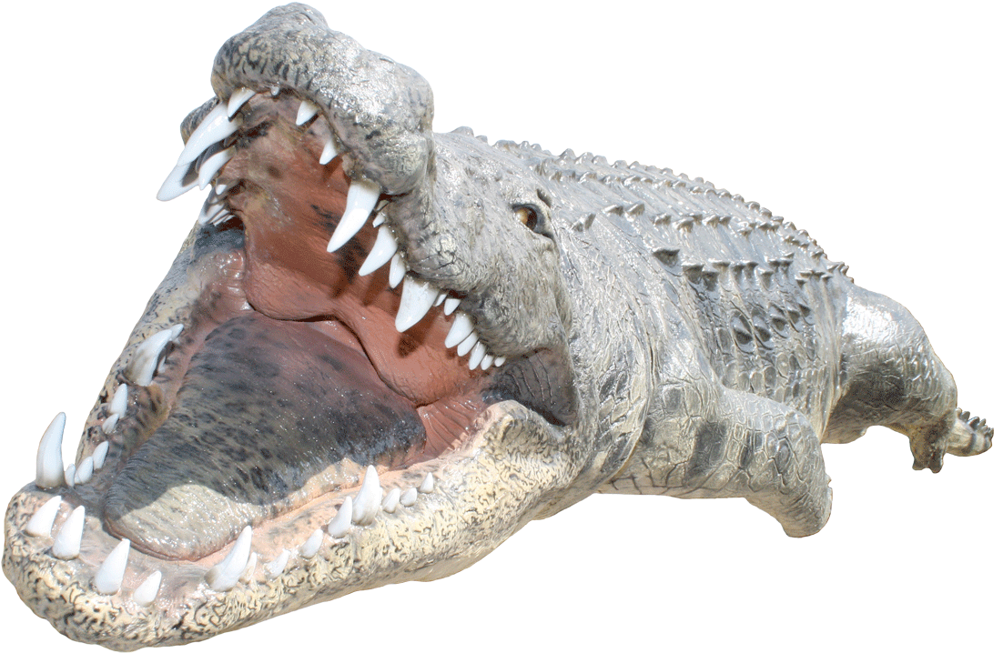 Fierce Crocodile Open Mouth PNG image