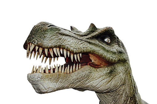 Fierce Dinosaur Head Portrait PNG image
