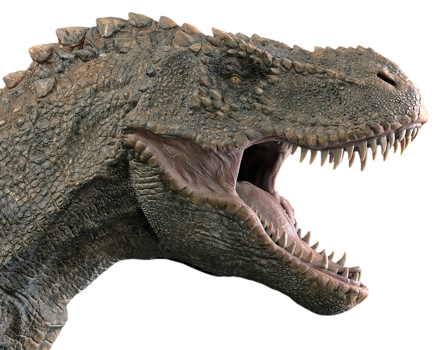 Fierce Dinosaur Head Profile PNG image