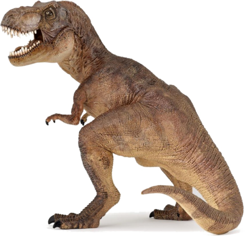 Fierce Tyrannosaurus Rex P N G PNG image