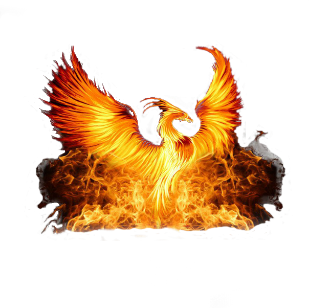 Fiery Phoenix Artwork PNG image