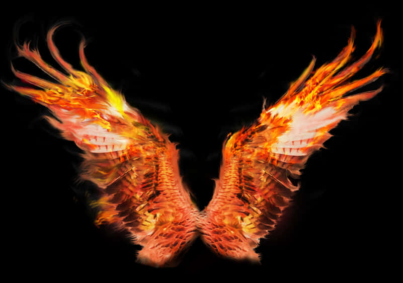 Fiery Phoenix Wings Artwork PNG image