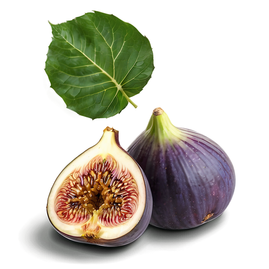 Figs Composition Png 06252024 PNG image