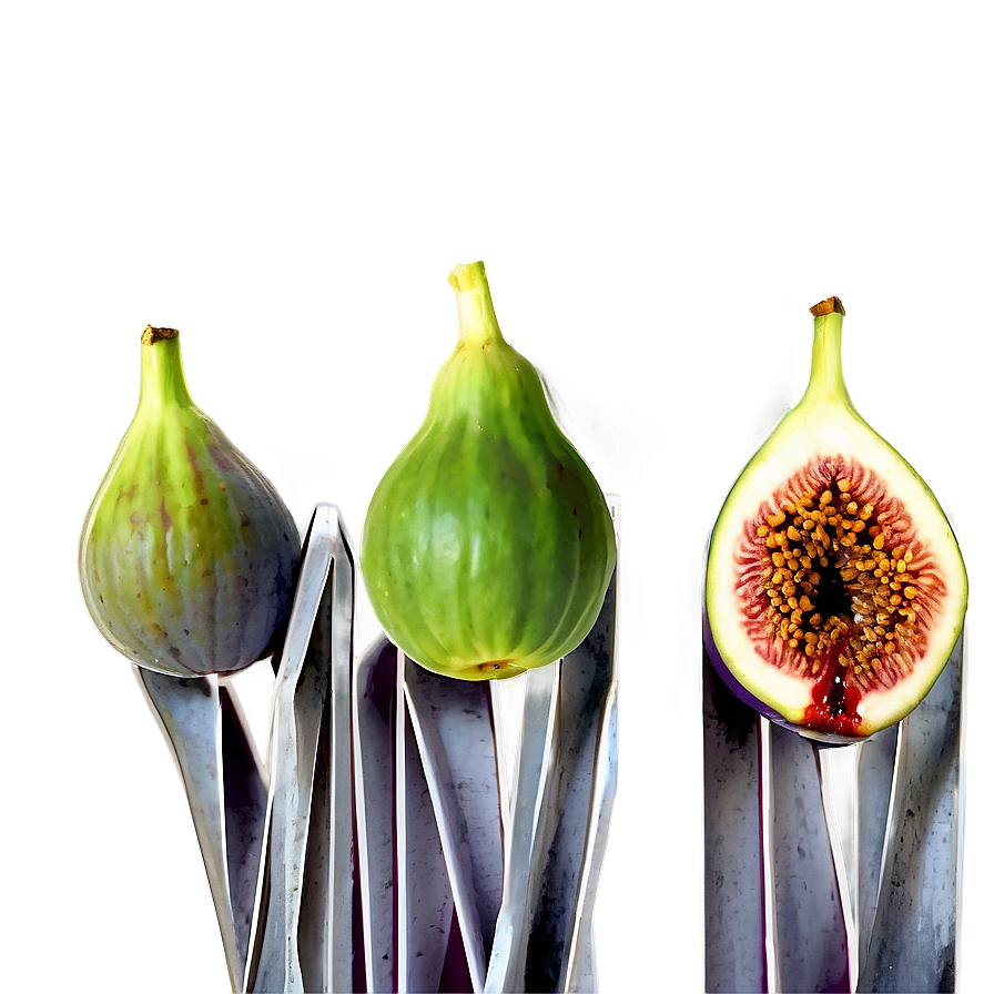 Figs In A Row Png 06252024 PNG image