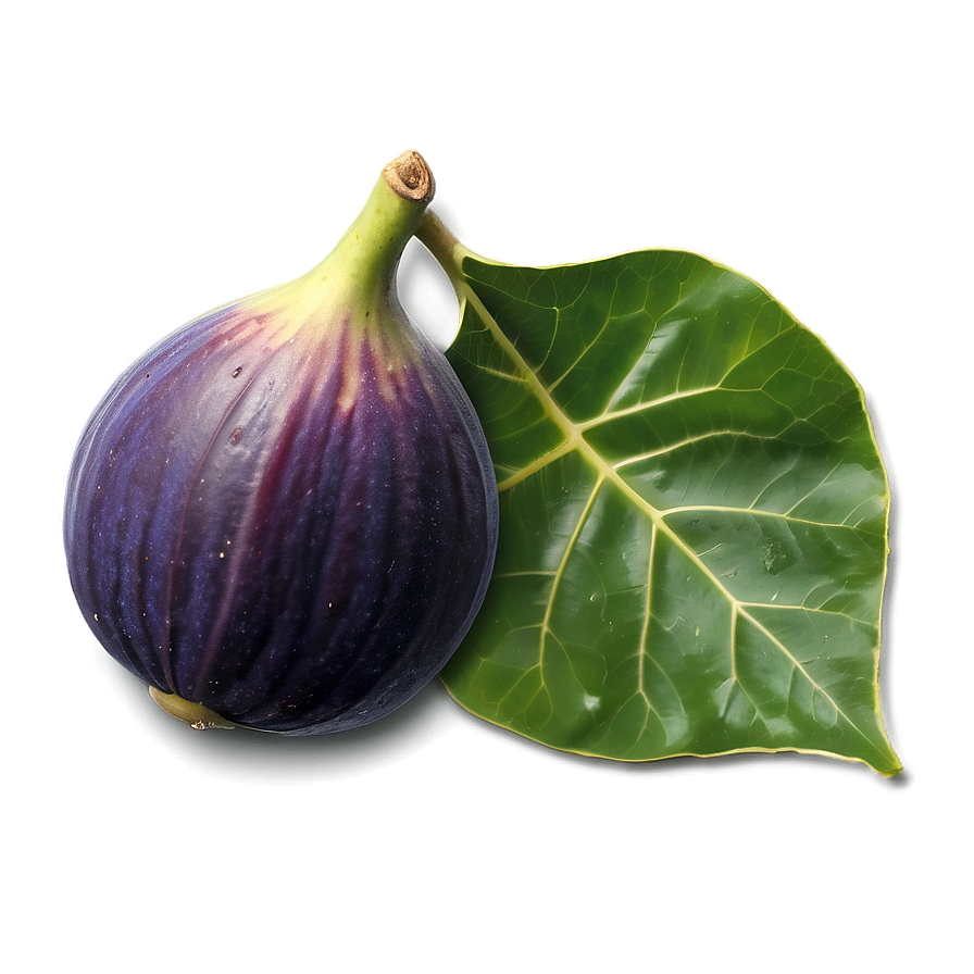 Figs On Vine Png Nrs PNG image