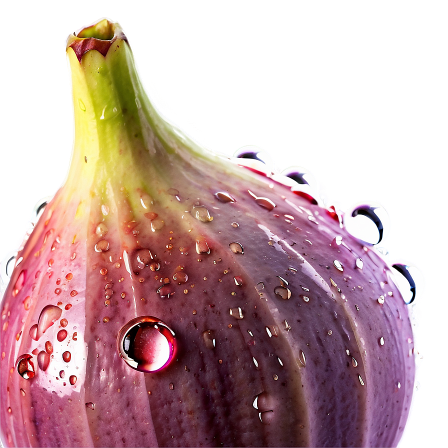 Figs With Drops Of Water Png 06252024 PNG image