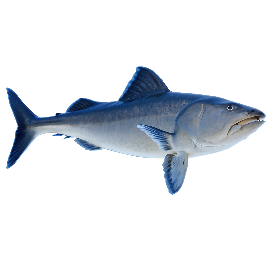 Fin In Deep Ocean Png 37 PNG image