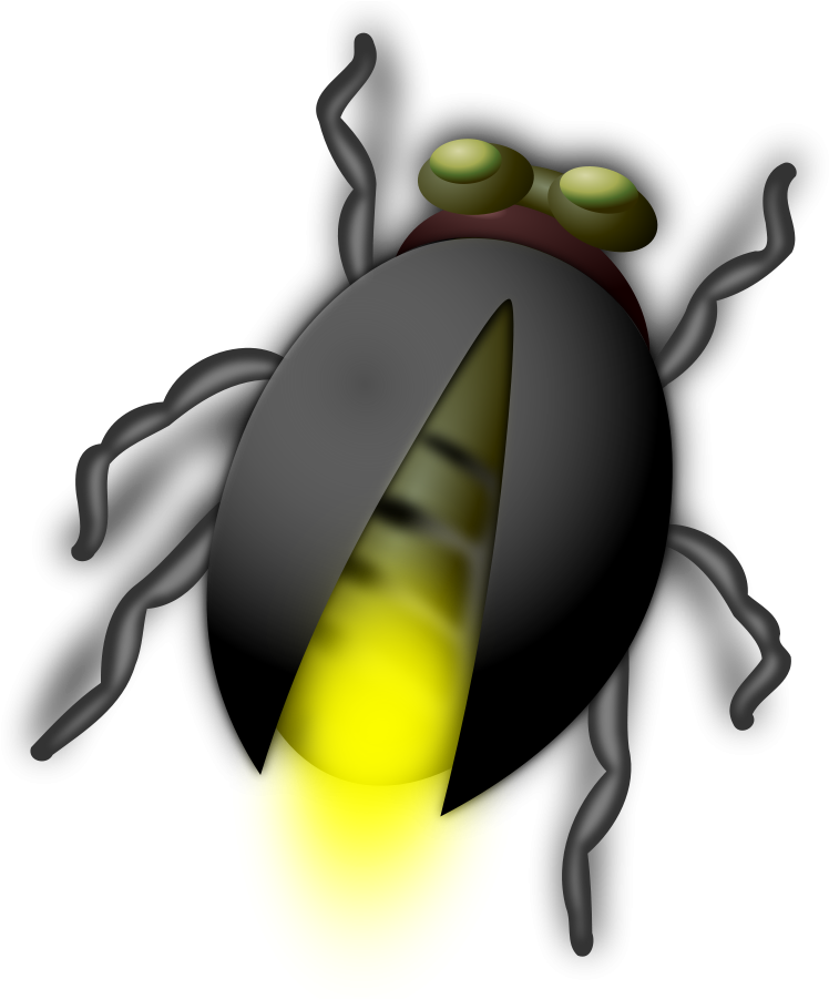 Firefly Illustration Graphic PNG image