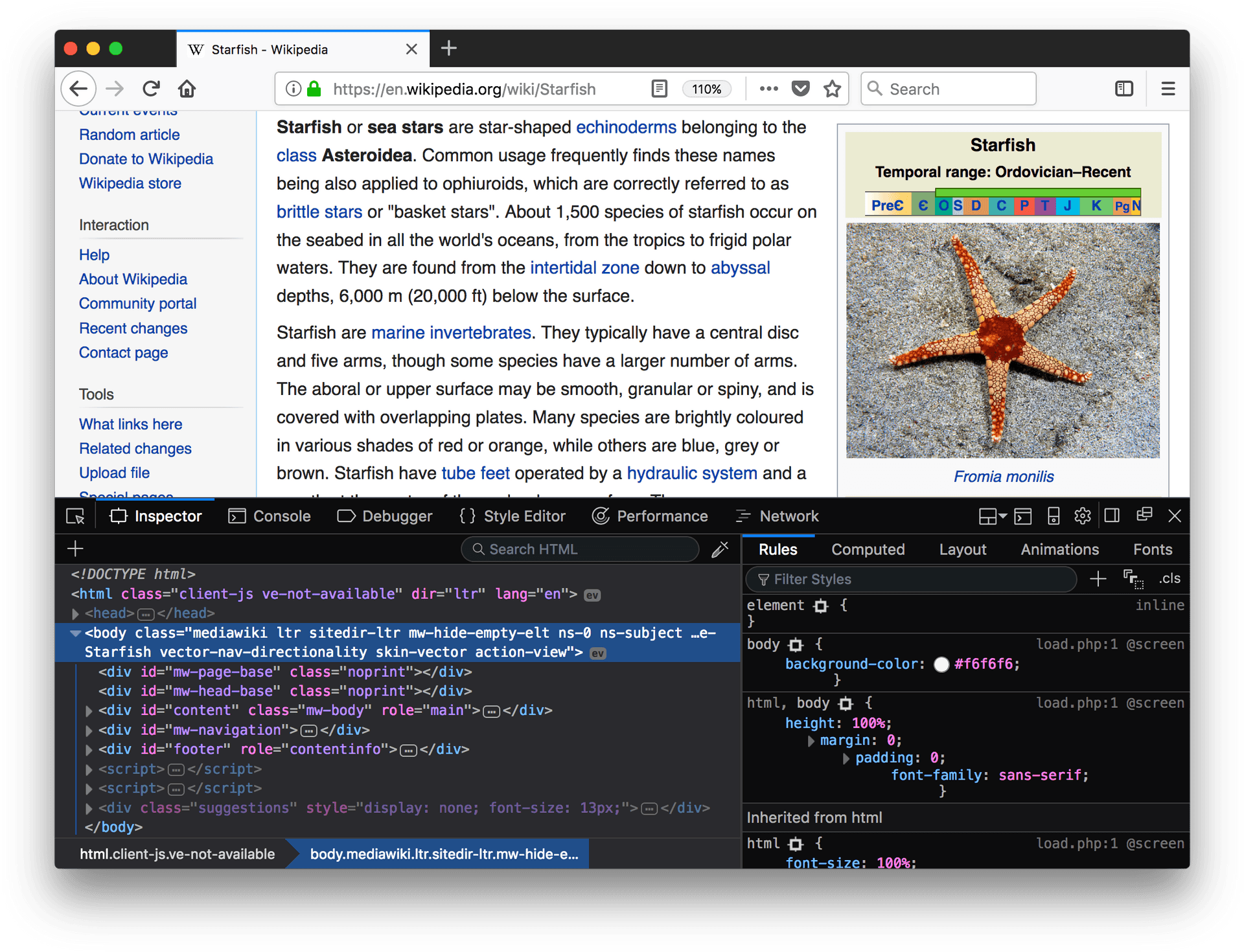 Firefox Wikipedia Starfish Web Development PNG image