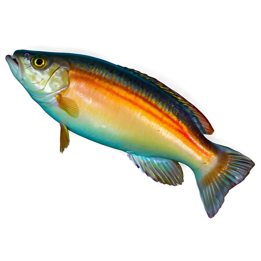 Fish A PNG image