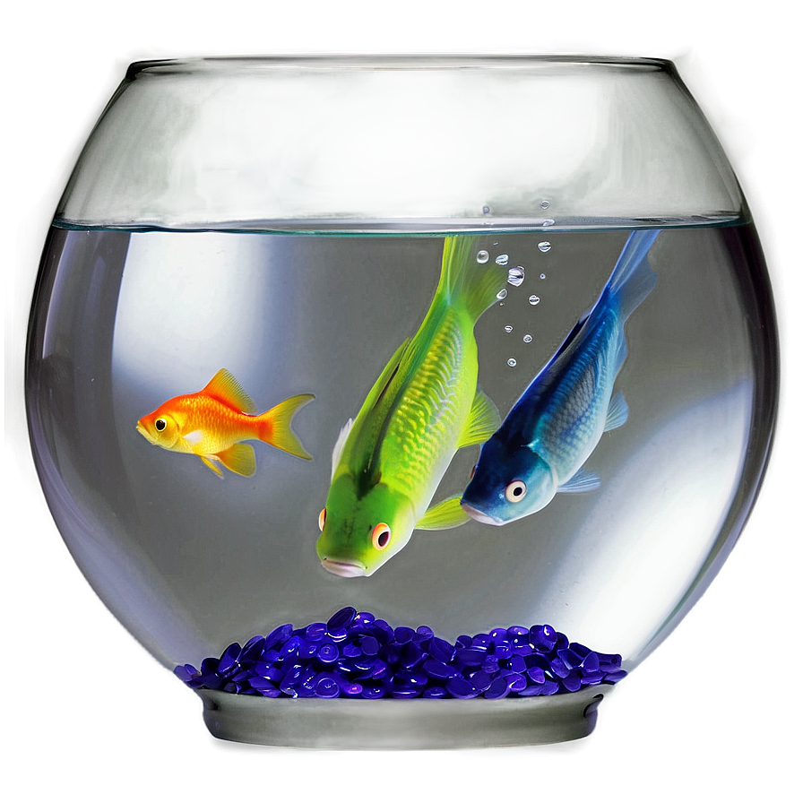 Fish Bowl Png 04292024 PNG image