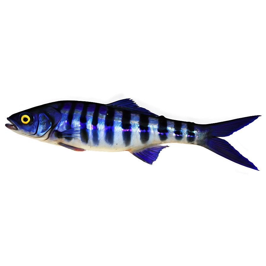 Fish Dish Png 14 PNG image