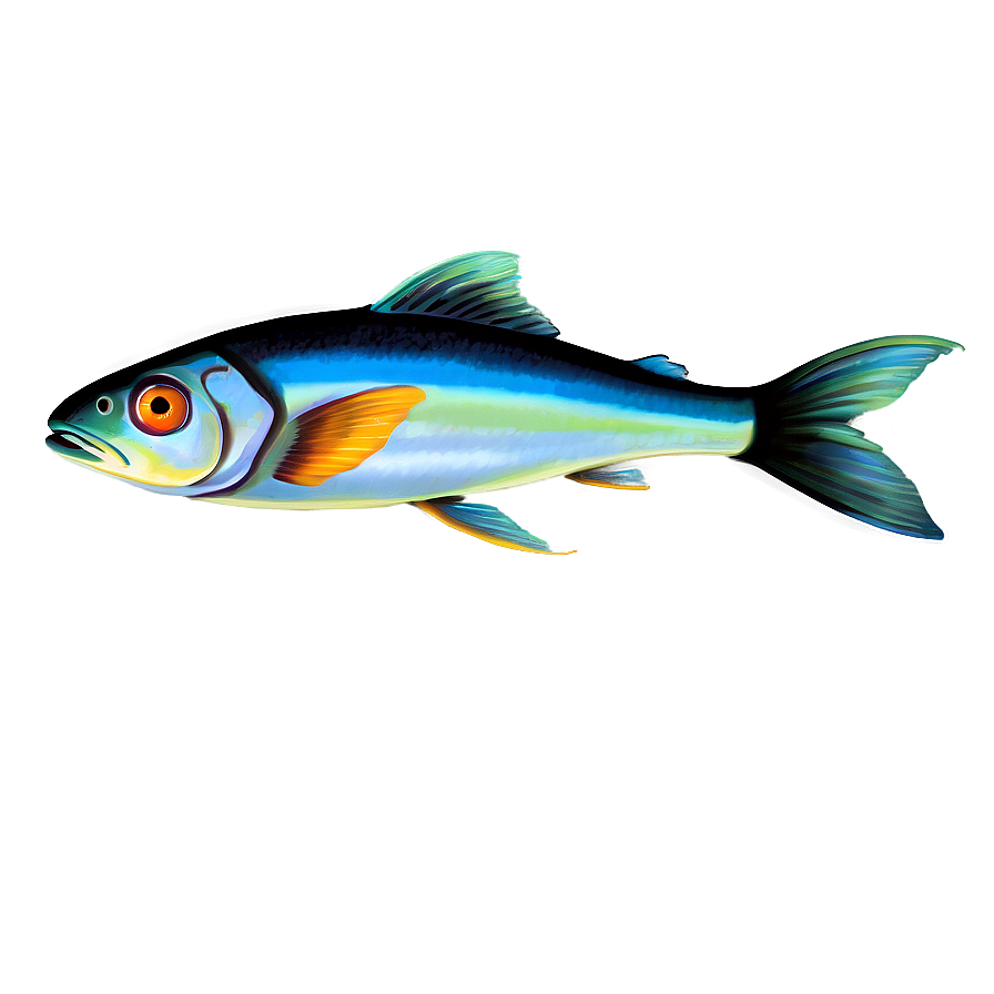 Fish Drawing Transparent Png 73 PNG image