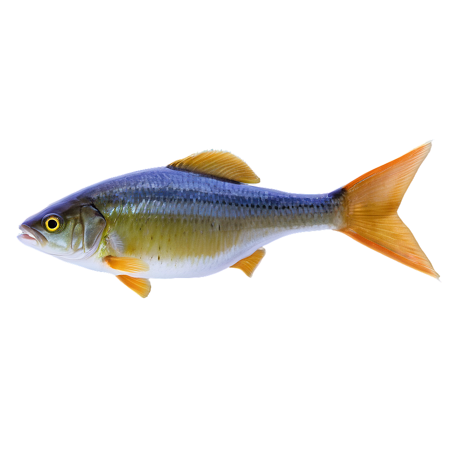 Fish Food Transparent Png Vyp37 PNG image