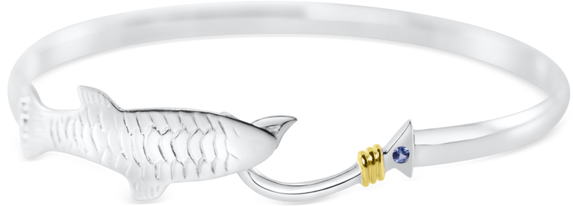 Fish Hook Bracelet Design PNG image