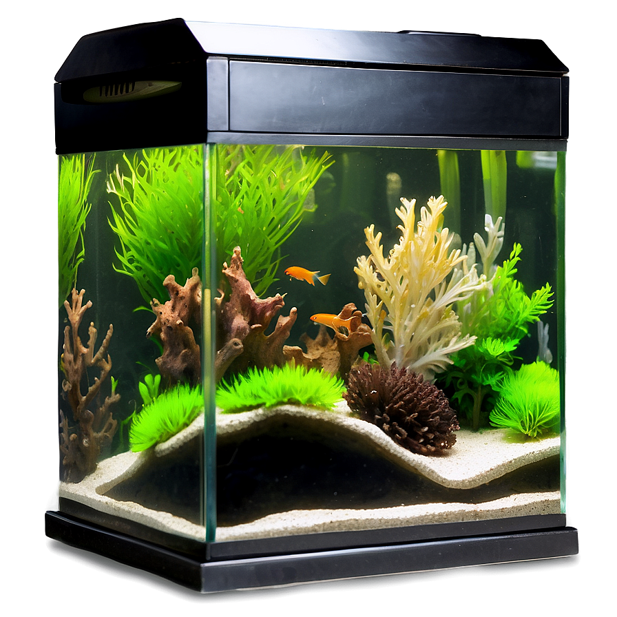 Fish Tank Landscape Png Ket13 PNG image