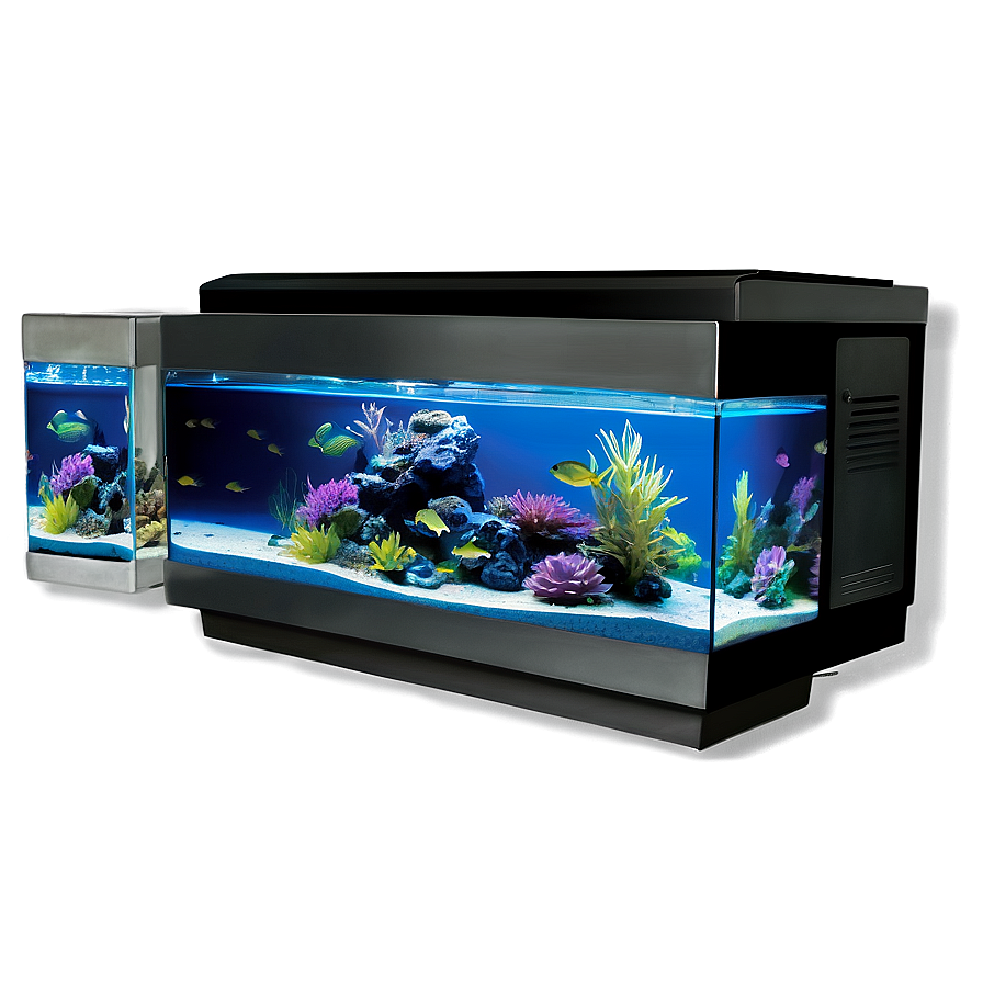 Fish Tank Setup Png 06122024 PNG image