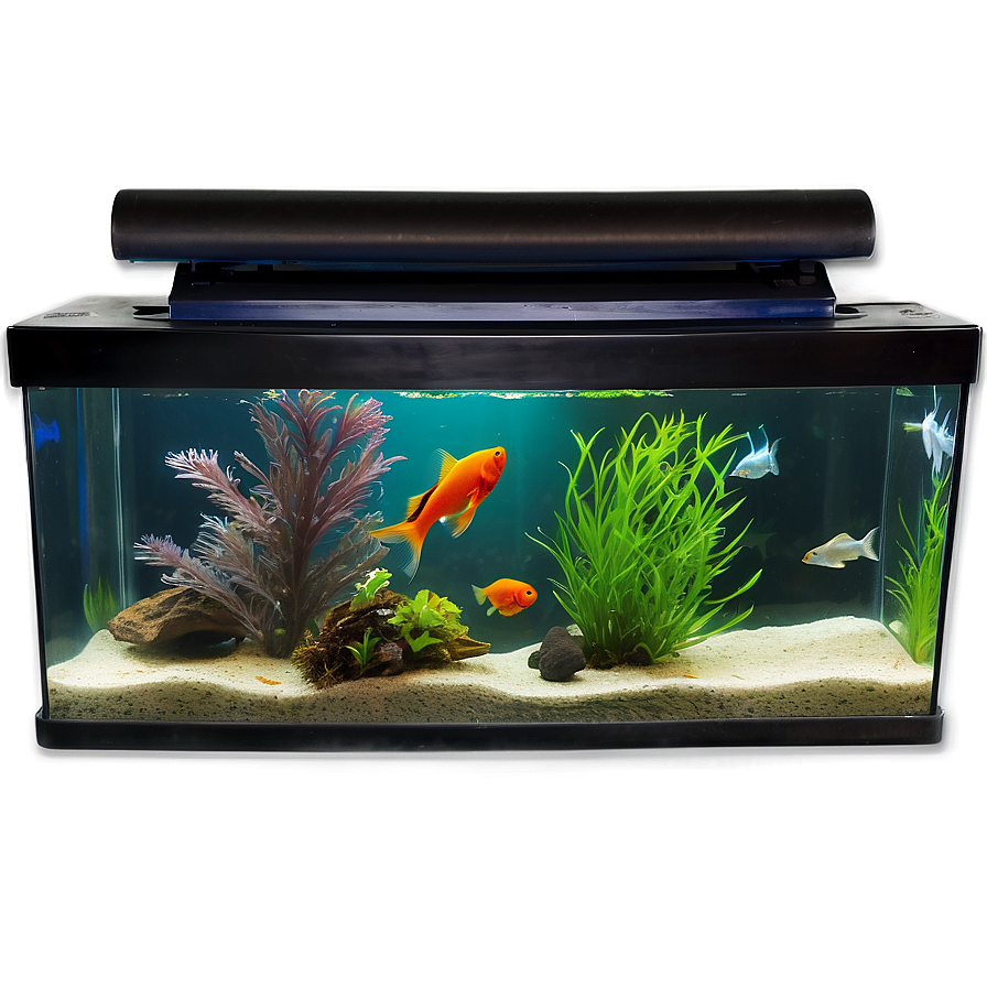 Fish Tank With Fish Png Mbd45 PNG image