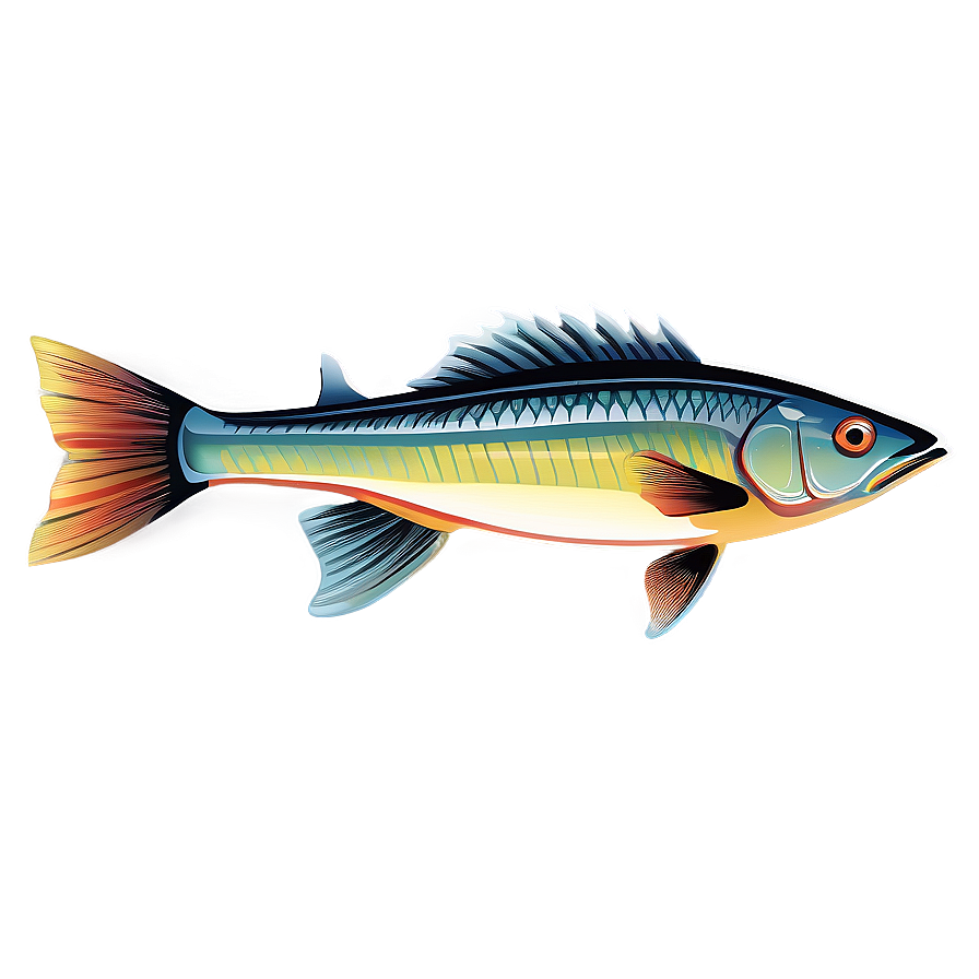 Fish Vector Png Bys PNG image