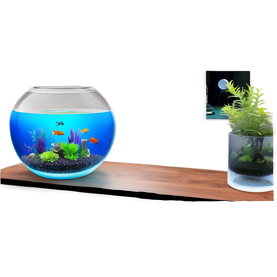 Fishbowl Aquarium Setup Png 34 PNG image