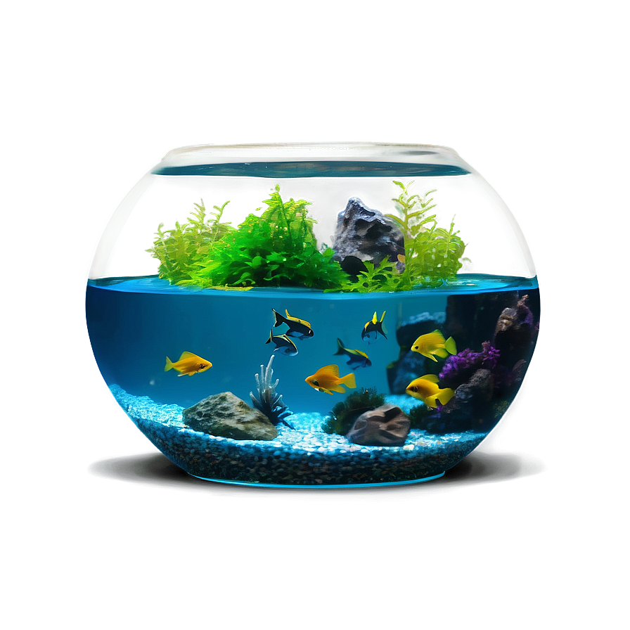 Fishbowl Aquarium Setup Png Wde PNG image