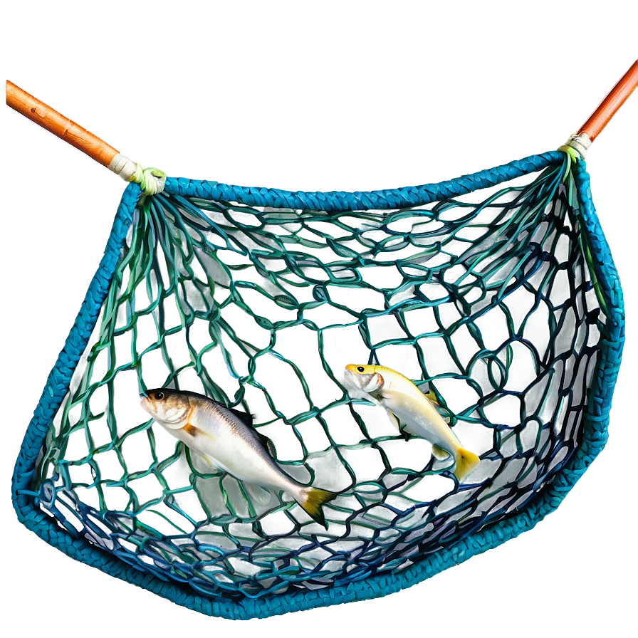 Fishing Net With Fish Png Fsi PNG image