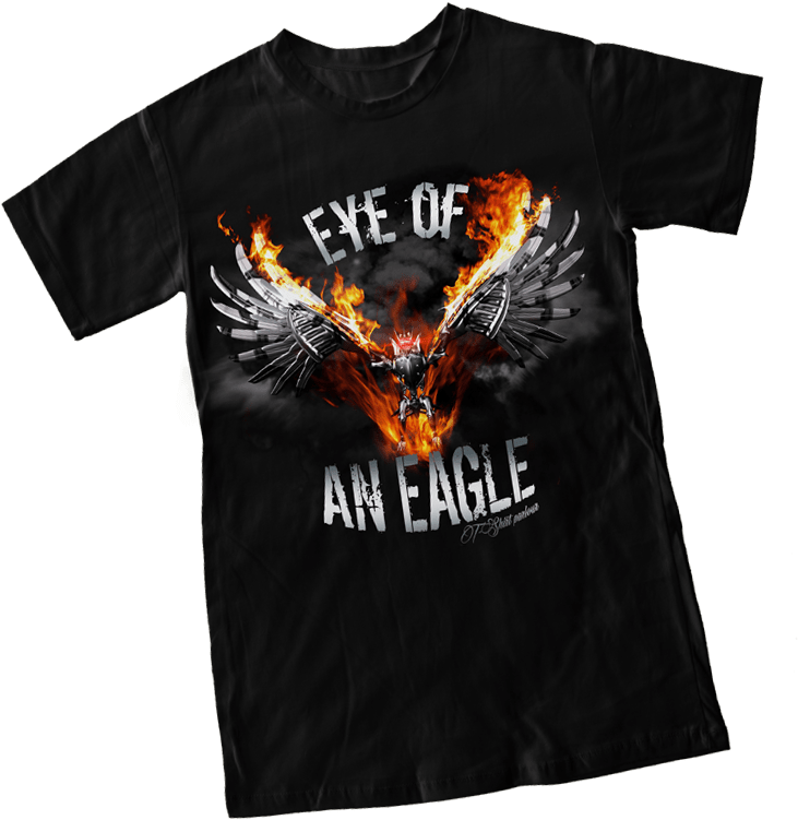Flaming Eagle Graphic T Shirt Design PNG image