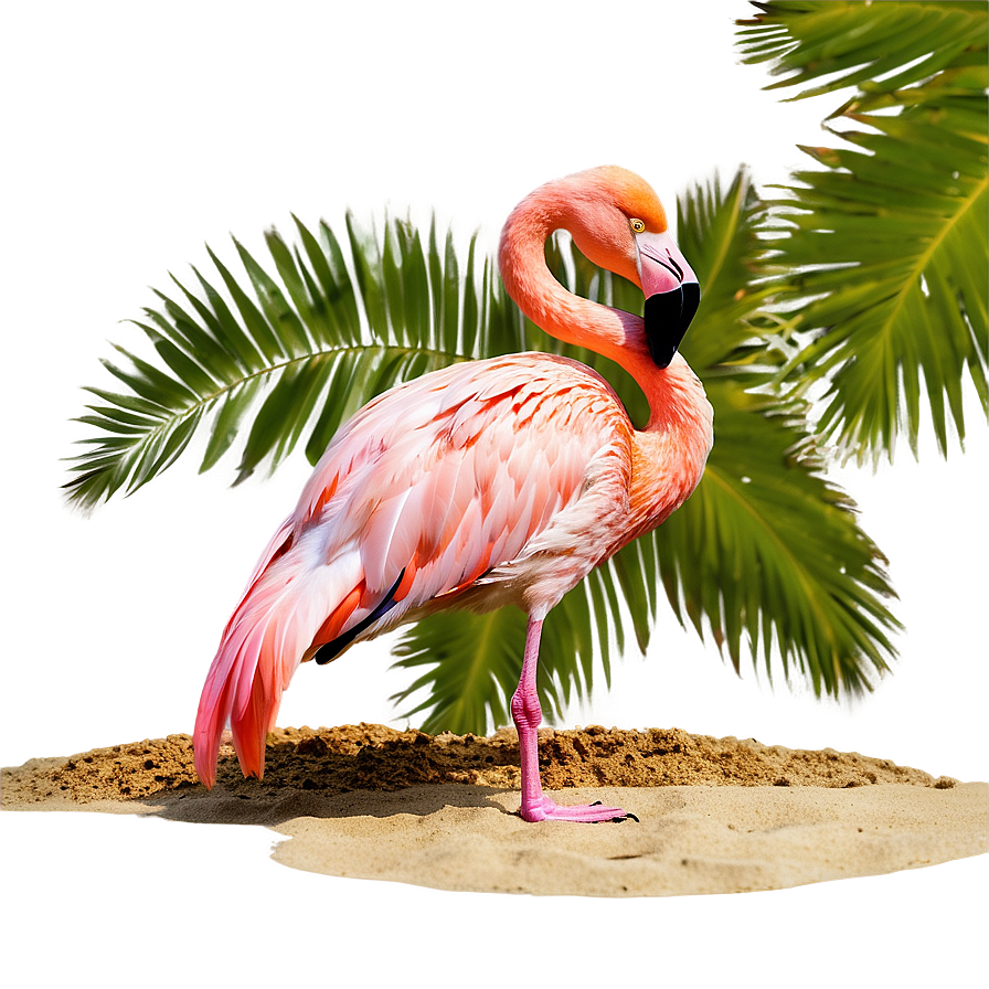 Flamingo Chilling On Beach Png 06292024 PNG image